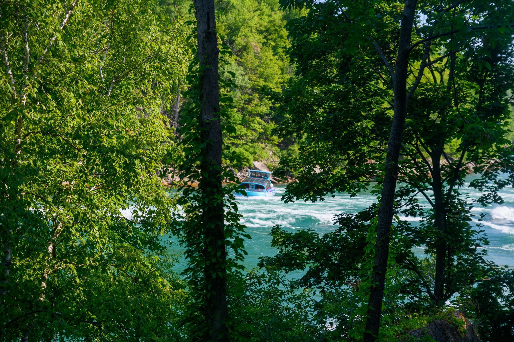 Gorge Trail, Falls, Jet Boat  (8 of 55)